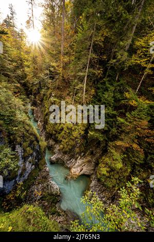 Sole nella foresta autunnale al Geisterklamm Mittenwald, Leutasch vicino alle montagne Wetterstein nelle Alpi. Nella valle scorre il torrente, mentre le pareti rocciose sono colorate con coloratissime foglie. Foto Stock