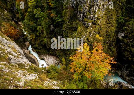 Vista dall'alto del Leutascher o Mittenwalder Geisterklamm nella zona di confine tra Germania e Austria in autunno. Un faggeto colorato si erge contro le alte pareti rocciose. Foto Stock