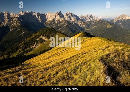 Prato di montagna sul Schönalmjoch al mattino presto alla luce del sole, sul Schönalmjoch. Sullo sfondo le cime del Karwendel sotto un cielo blu. Foto Stock