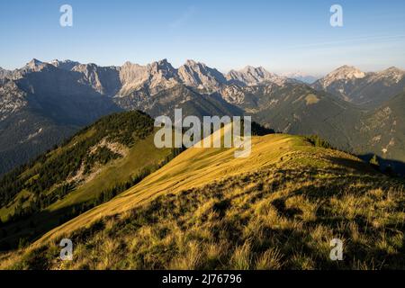 Prato di montagna sul Schönalmjoch al mattino presto alla luce del sole, sul Schönalmjoch. Sullo sfondo le cime del Karwendel sotto un cielo blu. Foto Stock