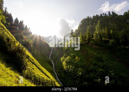 Sunrise sul sentiero panoramico tra Eng e Binsalm, una piccola cascata da uno dei affluenti al Rissbach cade nelle profondità, mentre il fresco verde dei prati di montagna brilla. Sullo sfondo le cime di Lamsenjoch e Hahnenkampl Foto Stock