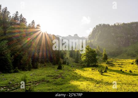 Alba sul sentiero panoramico tra Binsalm e Eng, sullo sfondo le cime di Hahnenkampl, in primo piano il sentiero verso Lamsenspitze / Binsalm Foto Stock