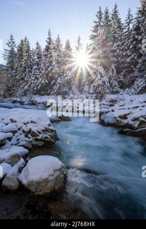 Una stella del sole perfetta tra i conifere sulla riva del Rissbach nella valle Engtal vicino Ahornboden in Tirolo. Una grande pietra rotonda e schiuma blu spray insieme alla neve completano la fresca atmosfera invernale, cielo blu sullo sfondo. Foto Stock