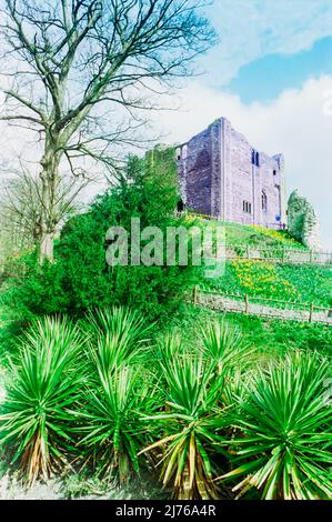 Guildford Castle Circa 1995 girato in film. Foto Stock
