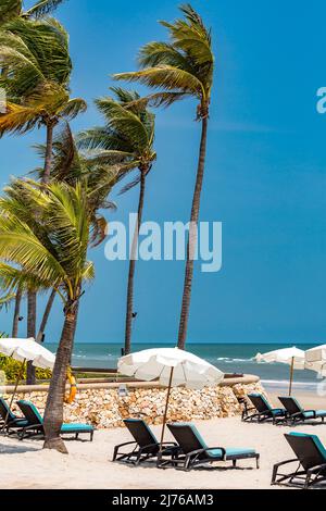 Lettini e ombrelloni sulla spiaggia, Dusit Thani Hotel Complex, Hua Hin, Prachuap Khiri Khan provincia, Thailandia, Golfo di Thailandia, Asia Foto Stock