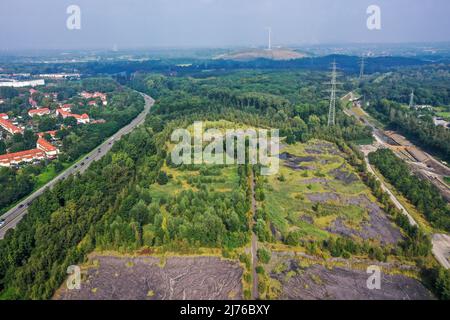 Bottrop, Renania settentrionale-Vestfalia, Germania - PROGETTO DI sviluppo urbano FREIHEIT EMSCHER. Le città di Essen e Bottrop, insieme alla RAG Montan Immobilien, vogliono trasformare i siti minerari del canale Reno-Herne e del fiume Emscher in un centro urbano con commercio e industria, aree residenziali, spazi verdi e strutture per il tempo libero sul lungomare. Qui, gli ex stagni di galleggiamento RAG su Gungstrasse tra il B224 (l.) e il Boye (r.), un affluente dell'Emscher Foto Stock