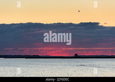 Cielo mattutino su Barther Bodden nei pressi di Zingst, Mar Baltico, Germania, Meclemburgo-Pomerania occidentale, Parco Nazionale Vorpommersche Boddenlandschaft Foto Stock