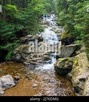 Germania, Bodenmais, cascate Riesloch nella riserva naturale di Riesloch nella Foresta Bavarese. Foto Stock