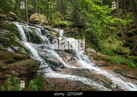 Germania, Bodenmais, cascate Riesloch nella riserva naturale di Riesloch nella Foresta Bavarese. Foto Stock