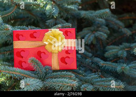 Confezione regalo rossa per San Valentino con cuori su rami di abete. Foto Stock
