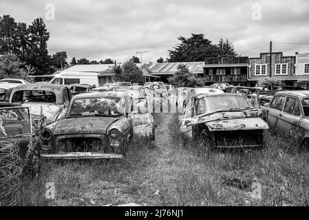 Auto d'epoca su un grande scrapyard alla fine del percorso Old Coach Road, Isola del Nord della Nuova Zelanda Foto Stock