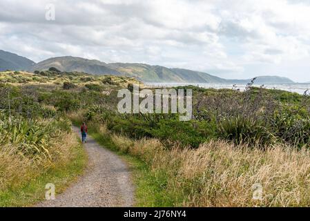 Bellissima costa al Queen Elisabeth Park, Isola del Nord della Nuova Zelanda Foto Stock