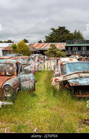 Auto d'epoca su un grande scrapyard alla fine del percorso Old Coach Road, Isola del Nord della Nuova Zelanda Foto Stock