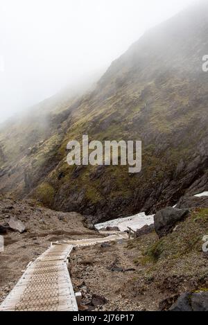 Escursioni sul Monte Taranaki in un giorno d'estate nebbia, Nuova Zelanda Foto Stock