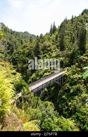 Tour sul fiume Whanganui incontaminato e attraverso la giungla circostante, Isola del Nord della Nuova Zelanda Foto Stock