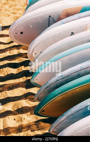 Primo piano di tavole colorate a paddle in affitto adagiate sulla sabbia. Foto Stock