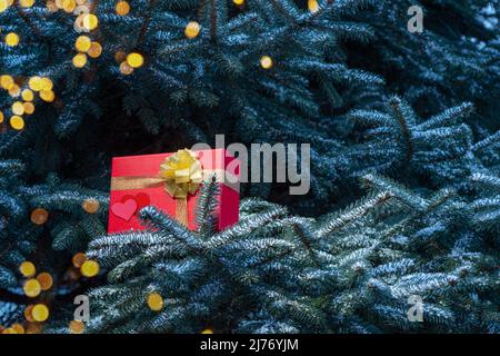 Confezione regalo rossa per San Valentino con cuori su rami di abete. Foto Stock