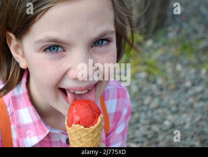 Contiene un cono di waffle freschi con gelato al lampone Foto Stock