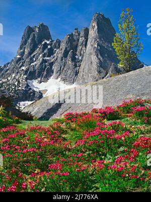 Liberty Bell Mountain sopra Washington Pass, North Cascade Mountains, Washington Foto Stock