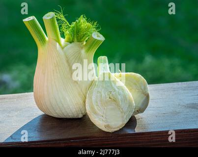 Bulbi di finocchio di Firenze su legno di legno invecchiato. Sfondo verde natura. Foto Stock