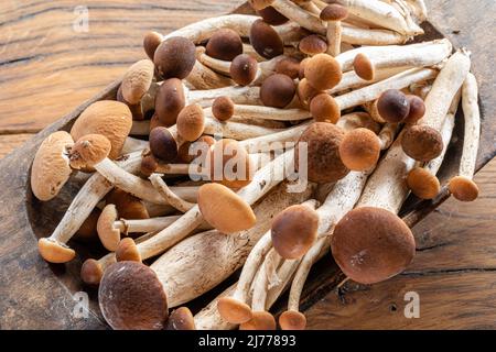Armillaria mellea o funghi miele nella ciotola di legno sul tavolo. Vista dall'alto. Foto Stock