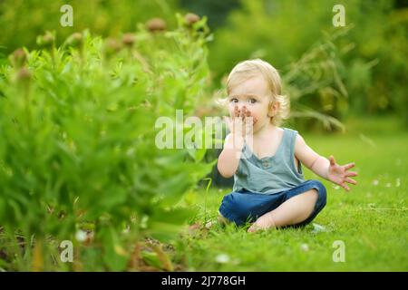 Ragazzo silly toddler che mette il terreno in bocca mentre gioca all'aperto nella giornata estiva soleggiata. Curioso bambino che esplora la natura. Attività estive per piccoli ki Foto Stock