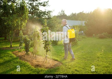 Sterminatore che spruzza insetticida sulle piante Foto stock - Alamy