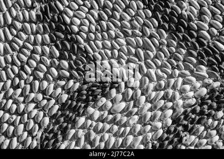 Antico percorso fatto di pietra rotonda liscia dal mare. Foto Stock