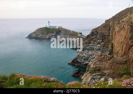 Scogliere spettacolari e South Stack Lighthouse, Holyhead, attraverso la nebbia mattutina, Angelsey, Galles del Nord Foto Stock