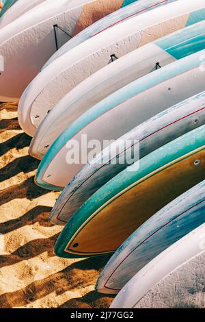 Primo piano di tavole colorate a paddle in affitto adagiate sulla sabbia. Foto Stock