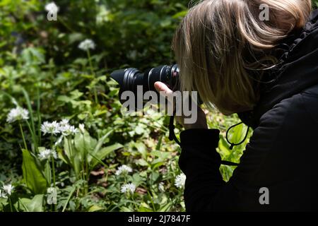 Donna irriconoscibile con cappotto nero scatta foto in un giardino all'aglio selvatico. Fuoco sui capelli della donna Foto Stock