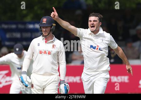 Jordan Thompson dello Yorkshire festeggia il lancio di Matt Critchley durante Essex CCC vs Yorkshire CCC, LV Insurance County Championship Divisi Foto Stock