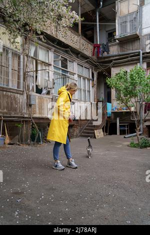 Fotografo donna in impermeabile giallo e gatto senza tetto sulla strada nella città vecchia di Tbilisi Georgia Foto Stock