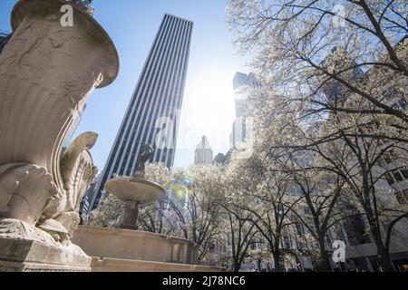 Primavera Blossom al Grand Army Plaza a New York City. USA Foto Stock