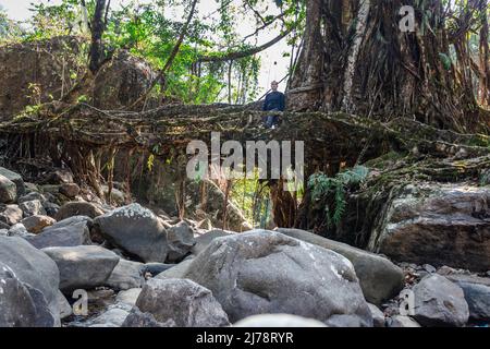 l'uomo giovane con ponte di radice di albero isolato naturale formato singolo piano al giorno da immagine angolo piatto è preso a ponte di radice di ponte singolo meghalaya ind Foto Stock