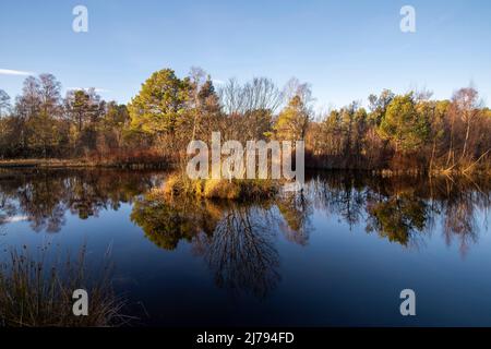 Sole pomeridiano a Milton Loch nella barca di Garten, Badenoch e Strathspey, Scozia, Regno Unito Foto Stock