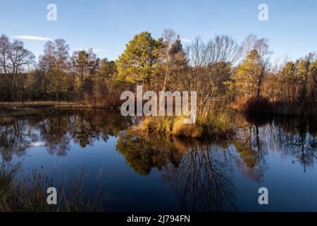 Sole pomeridiano a Milton Loch nella barca di Garten, Badenoch e Strathspey, Scozia, Regno Unito Foto Stock