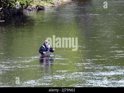 Pescatore in piedi nel fiume Tummel a Pitlochry, Perthshire, Scozia. Foto Stock