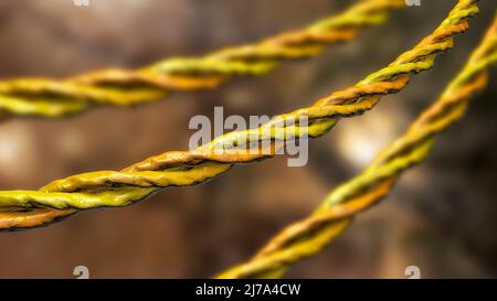 Molecole a tripla elica di collagene, illustrazione Foto Stock