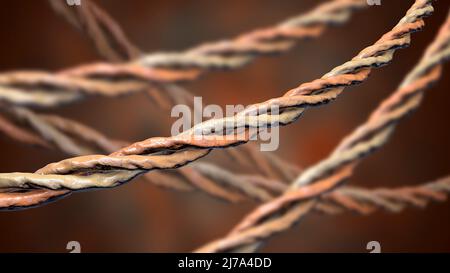 Molecole a tripla elica di collagene, illustrazione Foto Stock