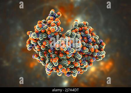 Pepsina molecola di enzima dello stomaco, illustrazione Foto Stock