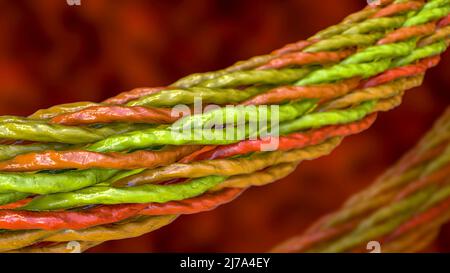 Molecole a tripla elica di collagene, illustrazione Foto Stock