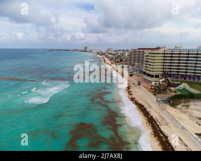 Riprese dall'aria. Resort città con alberghi, spiaggia di sabbia bianca. Il mare turchese è inquinato da alghe. Questioni ambientali, cambiamenti climatici, g Foto Stock