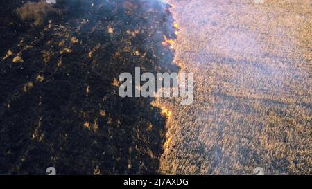 Drone aereo Visualizza due vigili del fuoco che mettono il fuoco in campo con erba asciutta Foto Stock