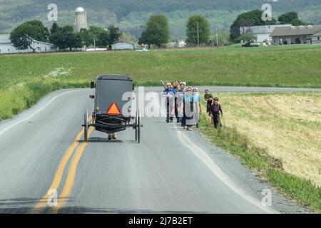 Lancaster County, Pennsylvania-5 maggio 2022: Gruppo di donne e bambini Amish che camminano sulla strada rurale onda a un cavallo e buggy passaggio. Foto Stock