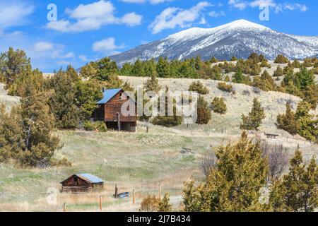 vecchio fienile e cabina ai piedi del monte baldy nelle grandi montagne vicino townsend, montana Foto Stock