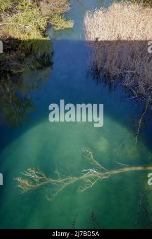 Scena di albero caduto nell'acqua di un fiume dopo la tempesta. Luci e ombre dal ponte Foto Stock