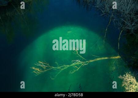 Scena di albero caduto nell'acqua di un fiume dopo la tempesta. Luci e ombre dal ponte Foto Stock