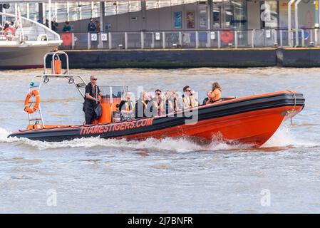 Gite in barca ad alta velocità Thames Tigers sul Tamigi a Londra, Regno Unito. Motoscafo turistico con passeggeri Foto Stock