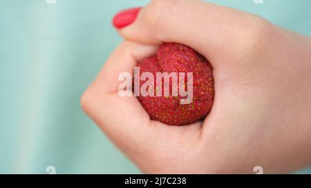 Anatomia del colon problematica nelle mani. Corbezzato di fragola in pugno concetto Foto Stock